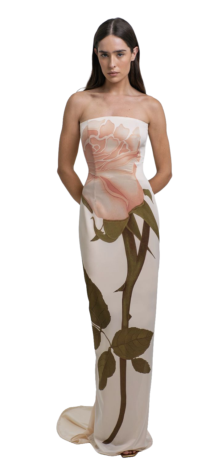 Amaya print Maxi Dress- Powder